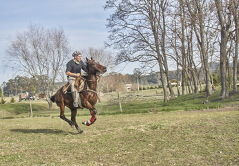 hombre adulto montando a caballo