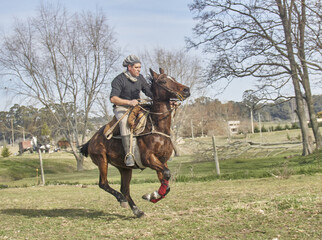 hombre adulto montando a caballo