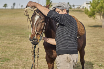 gaucho, colocando riendas al caballo
