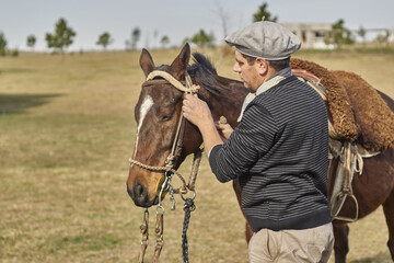 gaucho argentino , colocando riendas al caballo