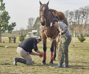 preparado el caballo para entrenar