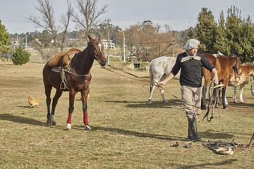 gaucho llevando a rienda su caballo © Ramiro Ruiz