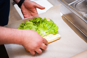 Closeup image of a female chef cooking and holding a piece of whole wheat sandwich in kitchen