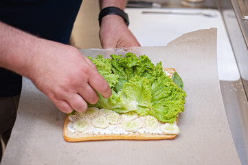 Closeup image of a female chef cooking and holding a piece of whole wheat sandwich in kitchen