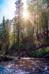 Small river in moist dense forest in the sun rays. Rapid stream of water between the banks, overgrown with green grass and moss. Cascade on taiga river, soft focus.