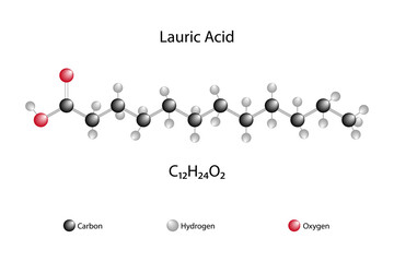 Molecular formula of lauric acid. Chemical structure of lauric acid. 