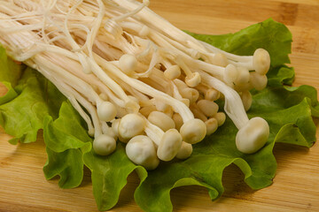 Raw Enoki mushrooms for cooking