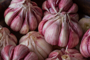 Fresh whole garlic close-up as background, texture. Top view