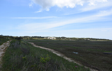 Tidal Flats and Path Ways Along the Outer Cape