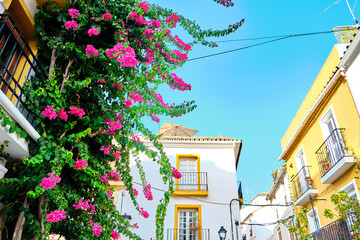 Marbella Malaga July Strolling