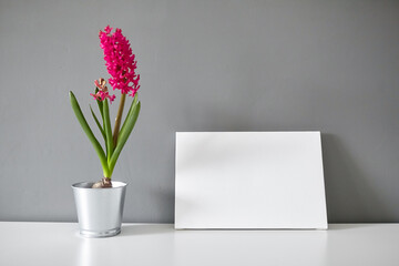 Blank canvas and flower on white table on gray wall background