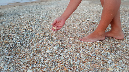 a woman collects shells on the beach. souvenirs to remember your summer vacation.