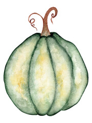 Watercolor illustration isolated on white background, beautiful green pumpkin for autumn posters, cards, thanksgiving or halloween decor.