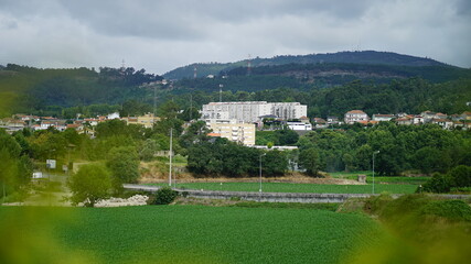 landscape - nature - green - daylight 