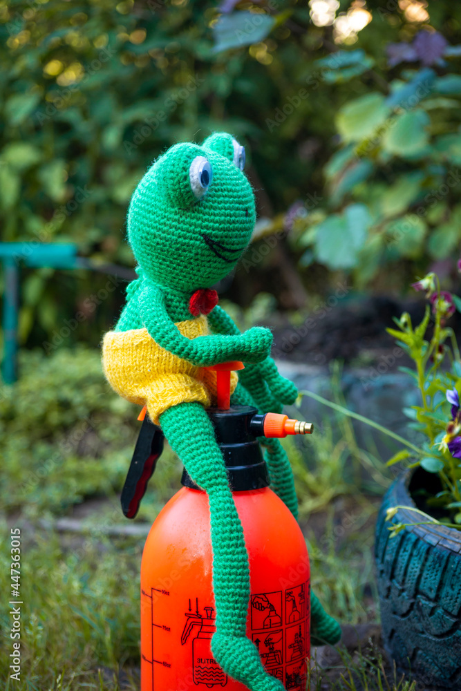 Wall mural Handmade Amigurumi doll frog fights insect pests in the garden in the summer.