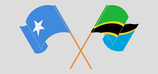 Crossed and waving flags of Somalia and Tanzania