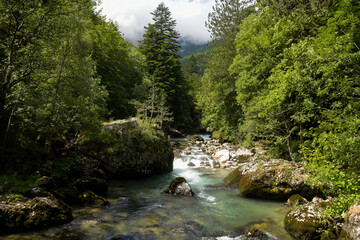 sources of gillardes in isere in france - obrazy, fototapety, plakaty