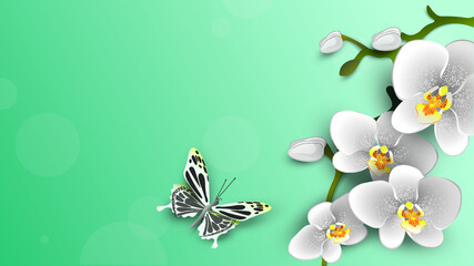 White phalaenopsis orchids and beautiful butterfly on a light green background. Vector illustration for design with place for an inscription.  © steadb