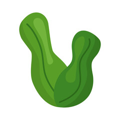 Plant leaves icon