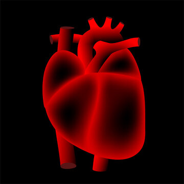 Human heart logo