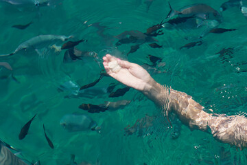 The hand of a young white woman feeding tropical fish in the Aegean Sea.