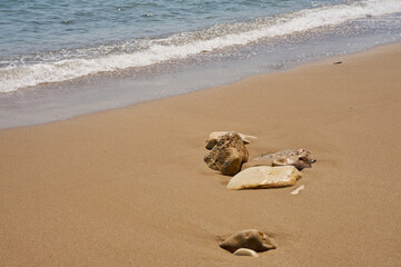 Stones on tropical sandy beach with blurred waves on the background.