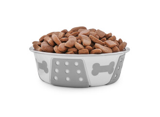 Dry dog food in pet bowl isolated on white