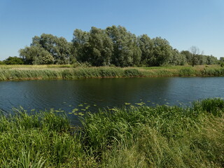 Rural landscape with grassy riverside in sunny day, Motlawa river, Gdansk Poland