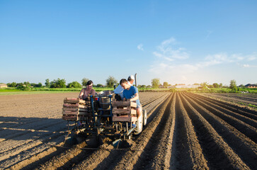 Planting machine operators plant potatoes. Automation of the process of planting potato seeds. High...