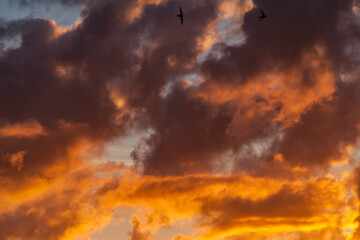 Allassac (Corrèze, France) - Coucher de soleil nuageux et orangé