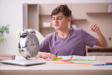 Schoolboy preparing for exams at home