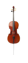 Fototapeta na wymiar Beautiful cello isolated on white. Classic musical instrument