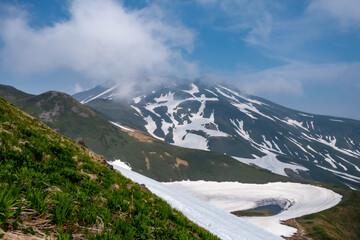 緑と残雪