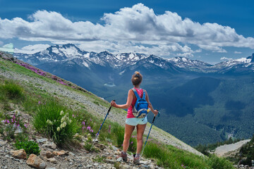 Middle age woman with hiking poles and backpack in mountains among wildflowers. Walking trail from...
