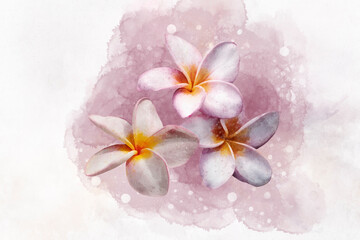 Watercolor tropical set with plumeria. Hand painted tropical flowers isolated on white background. Frangipani. Floral illustration for design, print, fabric or background. - obrazy, fototapety, plakaty