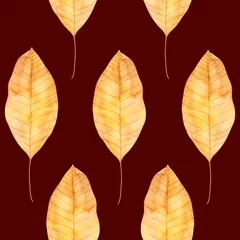 Papier Peint photo autocollant Bordeaux Motif de feuilles de noyer sur fond bordeaux. Les feuilles d& 39 automne à l& 39 aquarelle sont dessinées à la main. Convient aux produits imprimés et de papeterie, textiles, papiers peints