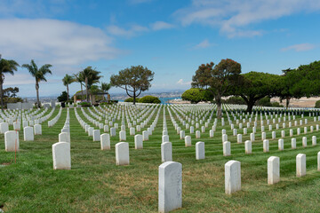 Fototapeta na wymiar Military Cemetery