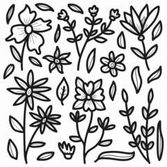 hand drawn flower cartoon doodle design