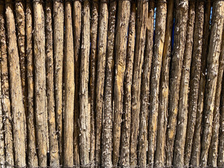 thin natural tree timber wood sticks limps made into a fence barrier wall