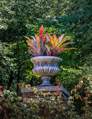 stone vase full of bromeliads, backlit in a formal garden.