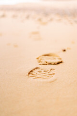 Fototapeta na wymiar Foot in the Sand