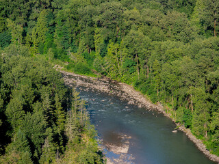 Fototapeta na wymiar Sandy River and Trees
