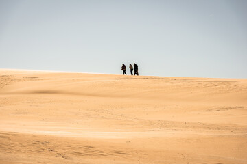 Sand dunes in Jockey's Ridge State Park. Located in Nags Head, North Carolina.It is a tallest sand...