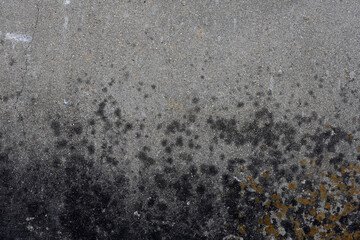 contaminated wall background