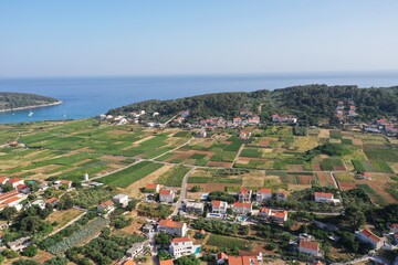 Fototapeta na wymiar Korčula Croatia Wine Country