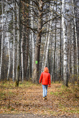 Fototapeta premium Autumn forest with a girl with red hair