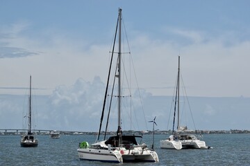 Fototapeta premium sailboats in the harbor