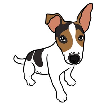 Jack Russell puppy dog portrait cartoon vector illustration	
