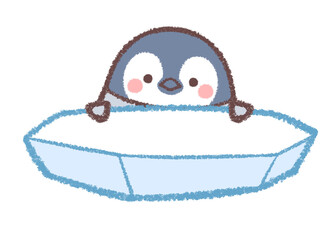 氷とペンギンヒナ © kino