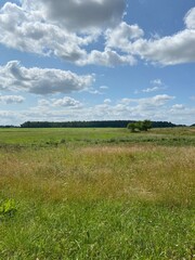 field and blue sky